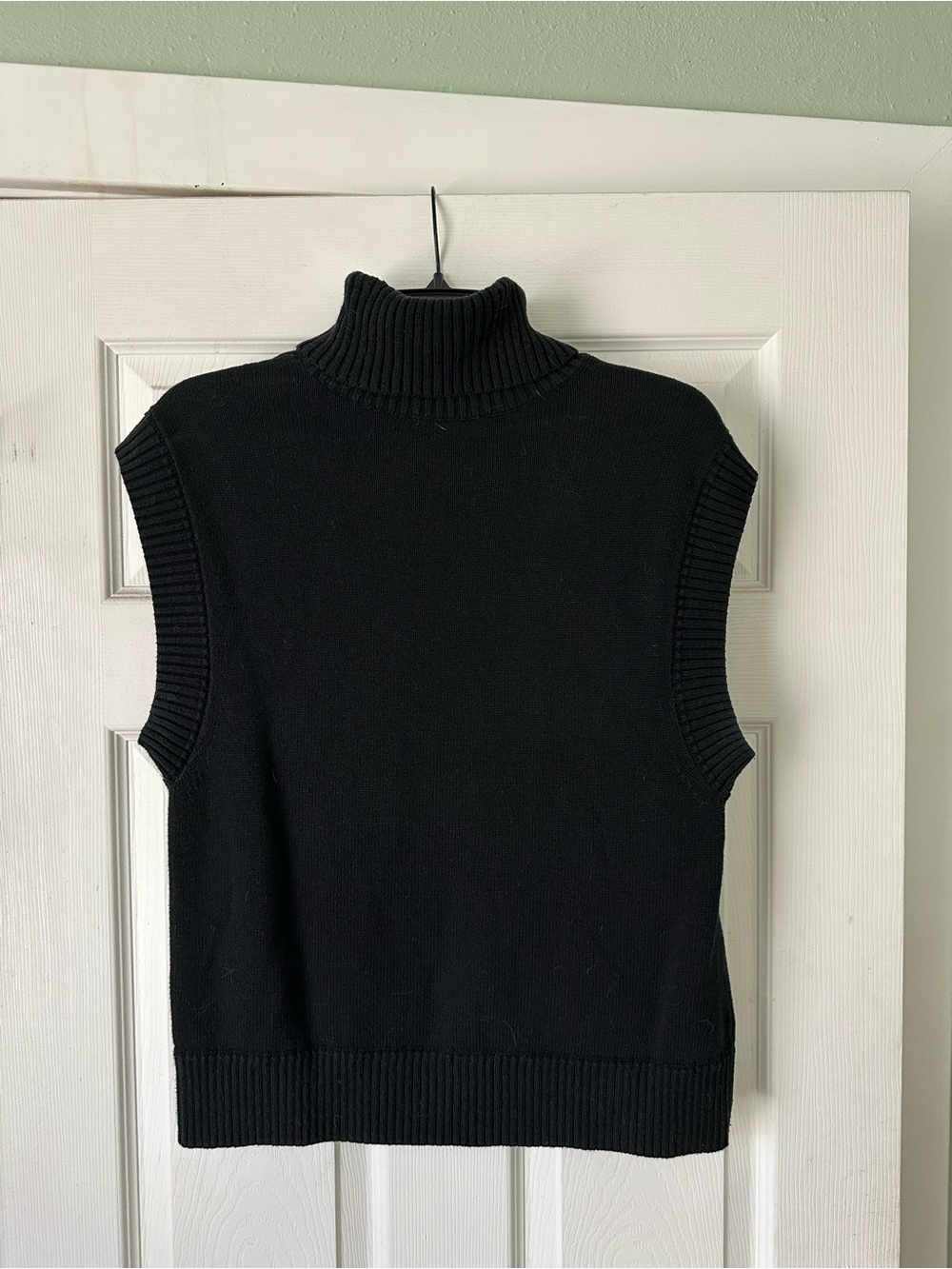 Everlane Black Sleeveless Turtleneck Sweater Vest